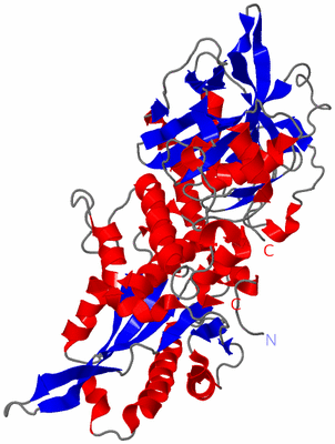 Image Asym./Biol. Unit