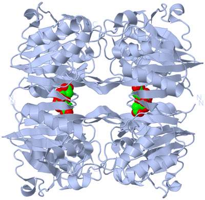 Image Biological Unit 2