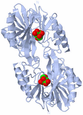 Image Biological Unit 3