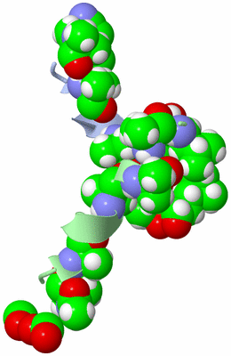 Image Asymmetric Unit