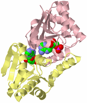 Image Biological Unit 2