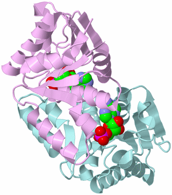 Image Biological Unit 3