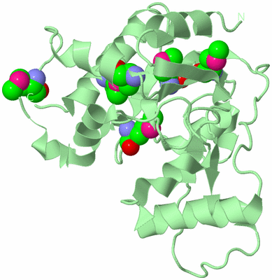 Image Biological Unit 2