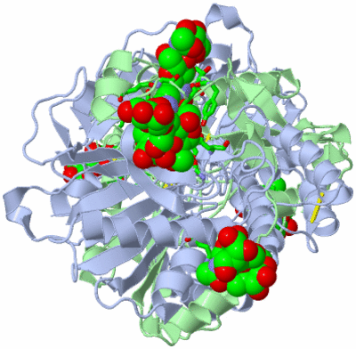 Image Biol. Unit 1 - sites