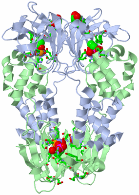 Image Biol. Unit 1 - sites