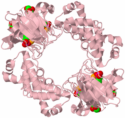 Image Biological Unit 2