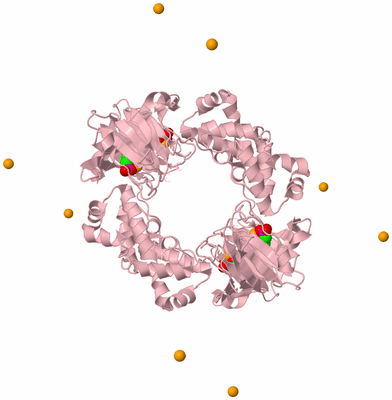 Image Biological Unit 2