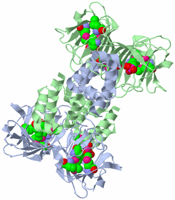 Image Biological Unit 1