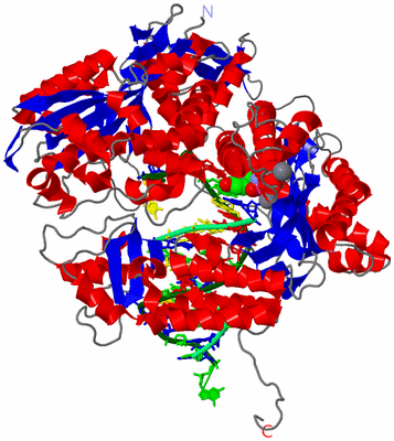 Image Asym./Biol. Unit