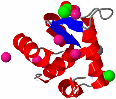 Image Asym./Biol. Unit