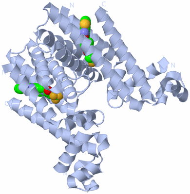 Image Biological Unit 1