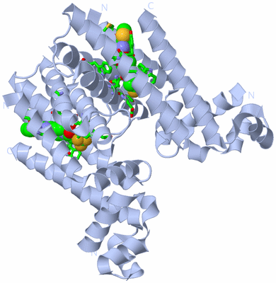 Image Biol. Unit 1 - sites