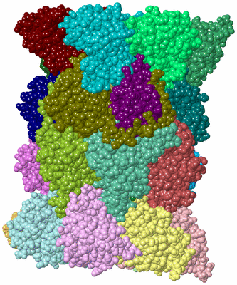 Image Asym./Biol. Unit