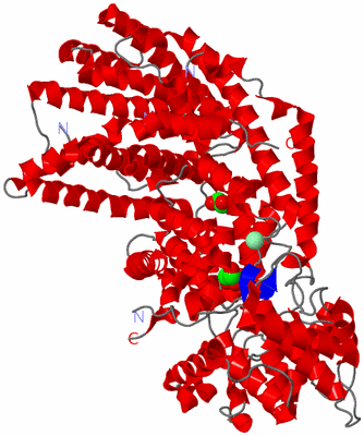 Image Asym./Biol. Unit