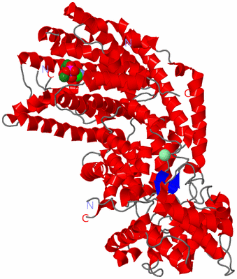 Image Asym./Biol. Unit