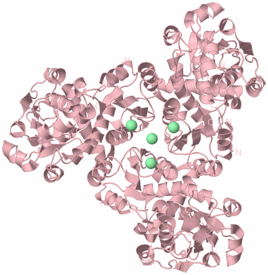 Image Biological Unit 3