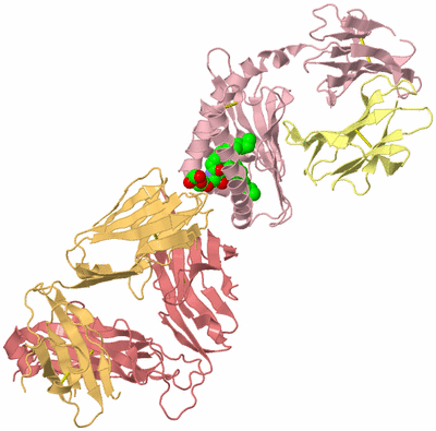 Image Biological Unit 2