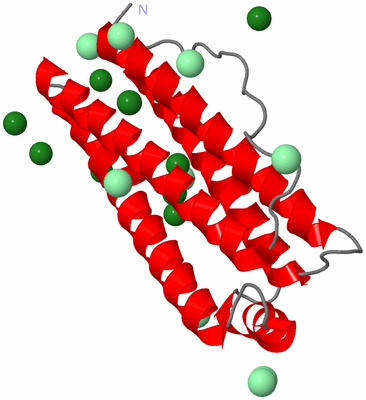 Image Asymmetric Unit