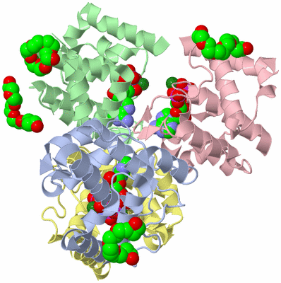 Image Asym./Biol. Unit