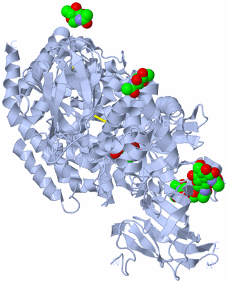 Image Biological Unit 1