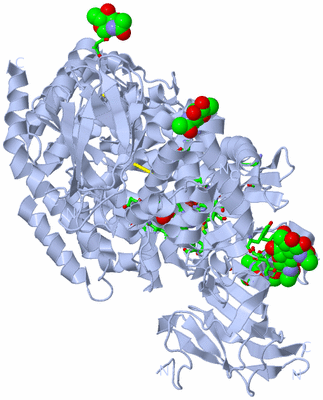 Image Biol. Unit 1 - sites