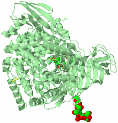 Image Biological Unit 2