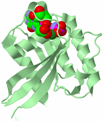 Image Biological Unit 2