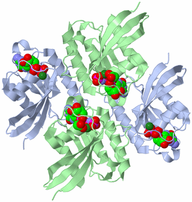 Image Biological Unit 3