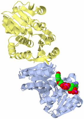 Image Biological Unit 1