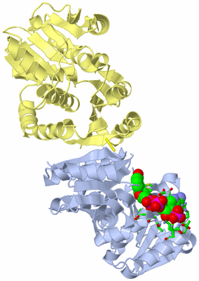 Image Biol. Unit 1 - sites