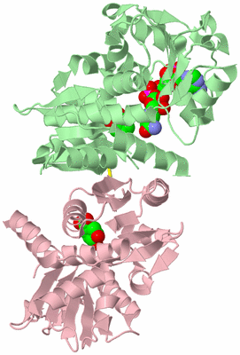 Image Biological Unit 2