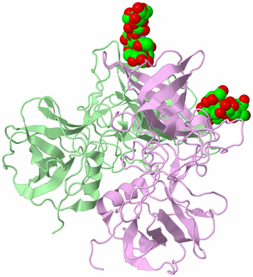 Image Biological Unit 2