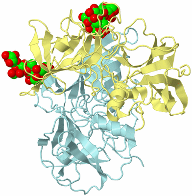 Image Biological Unit 3