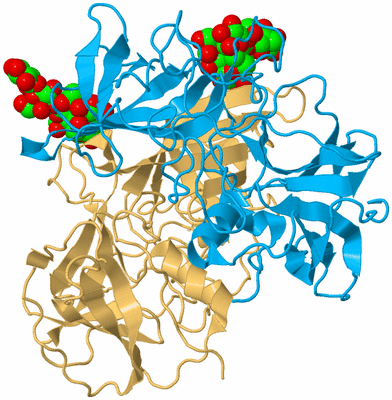 Image Biological Unit 4