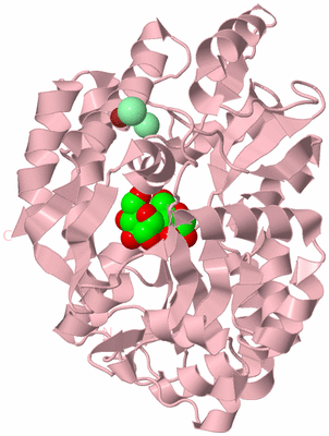 Image Biological Unit 2