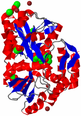 Image Asym./Biol. Unit