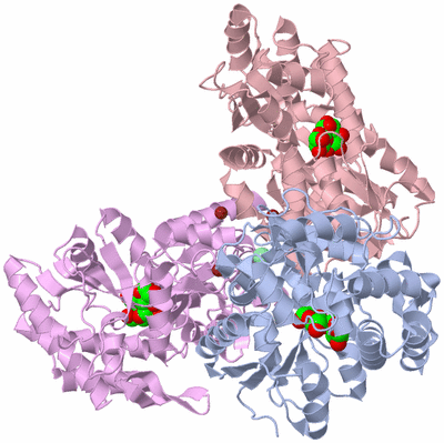 Image Asym./Biol. Unit