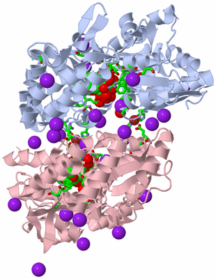 Image Asym./Biol. Unit - sites