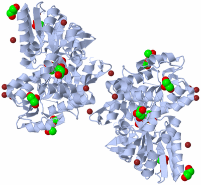 Image Biological Unit 1