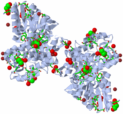 Image Biol. Unit 1 - sites