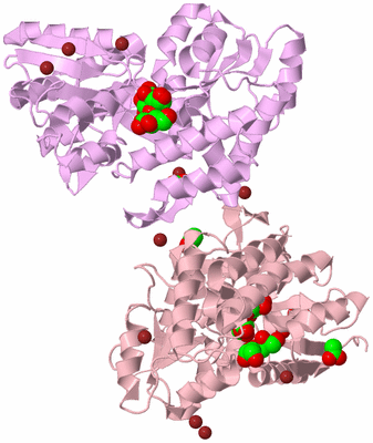 Image Biological Unit 2