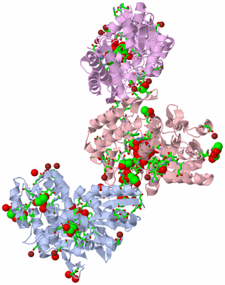 Image Asym. Unit - sites