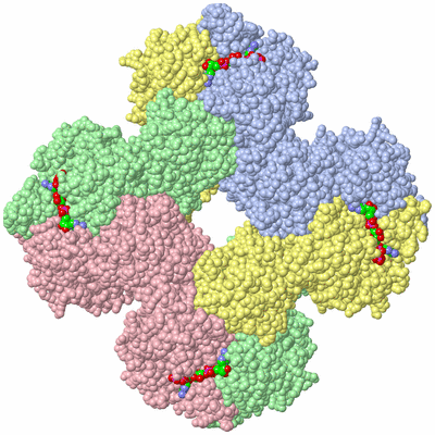 Image Biological Unit 1