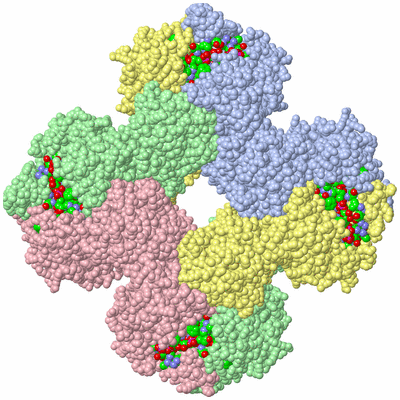 Image Biol. Unit 1 - sites