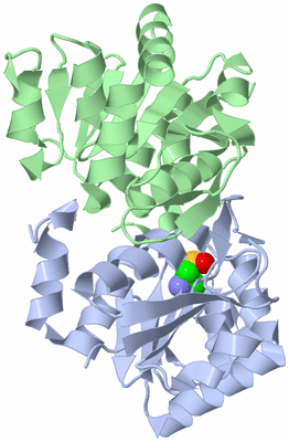 Image Asym./Biol. Unit