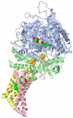 Image Asym./Biol. Unit