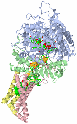 Image Asym./Biol. Unit - sites