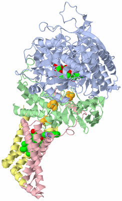 Image Asym./Biol. Unit