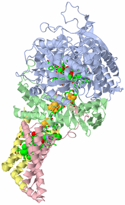 Image Asym./Biol. Unit - sites