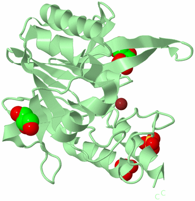 Image Biological Unit 2